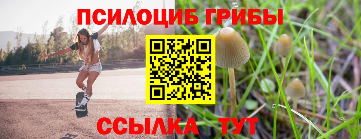 Кузнецк  Галлюциногенные грибы MAGIC MUSHROOMS  Вход с VPN  Галлюциногенные грибы GOLDEN TEACHER 