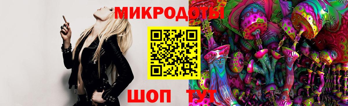 Галлюциногенные грибы Cubensis Кузнецк